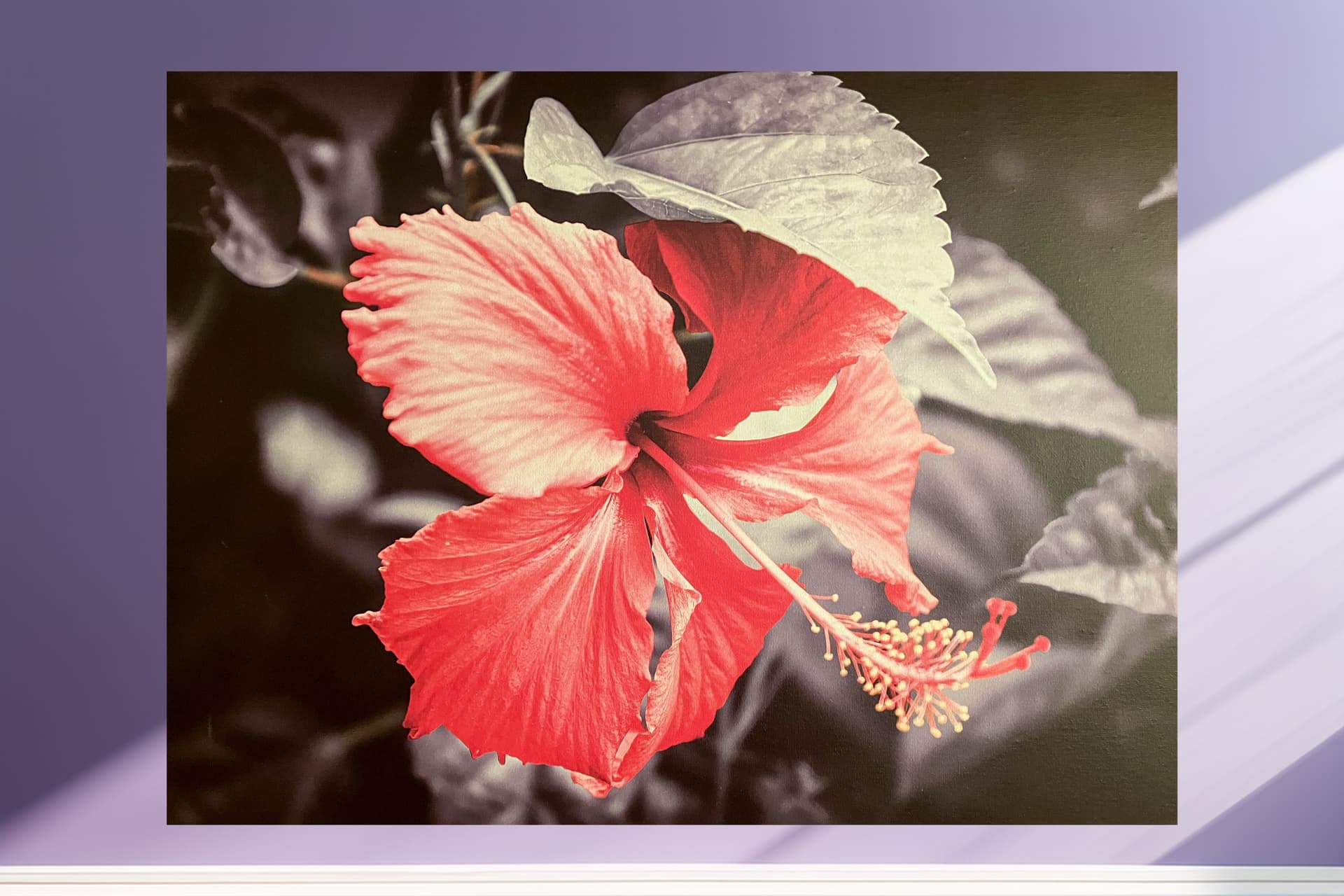 Exemple de rendu sur toile — impression sur châssis bois