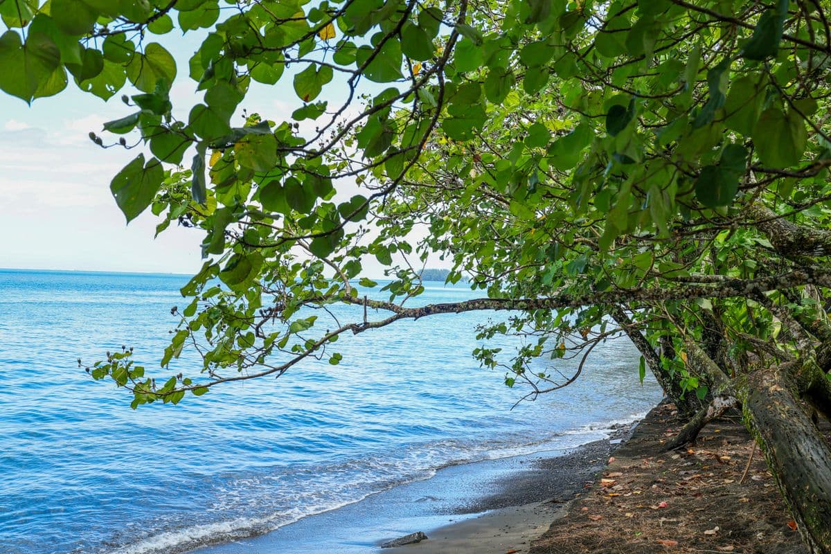 A côté du Jardin Botanique-2
