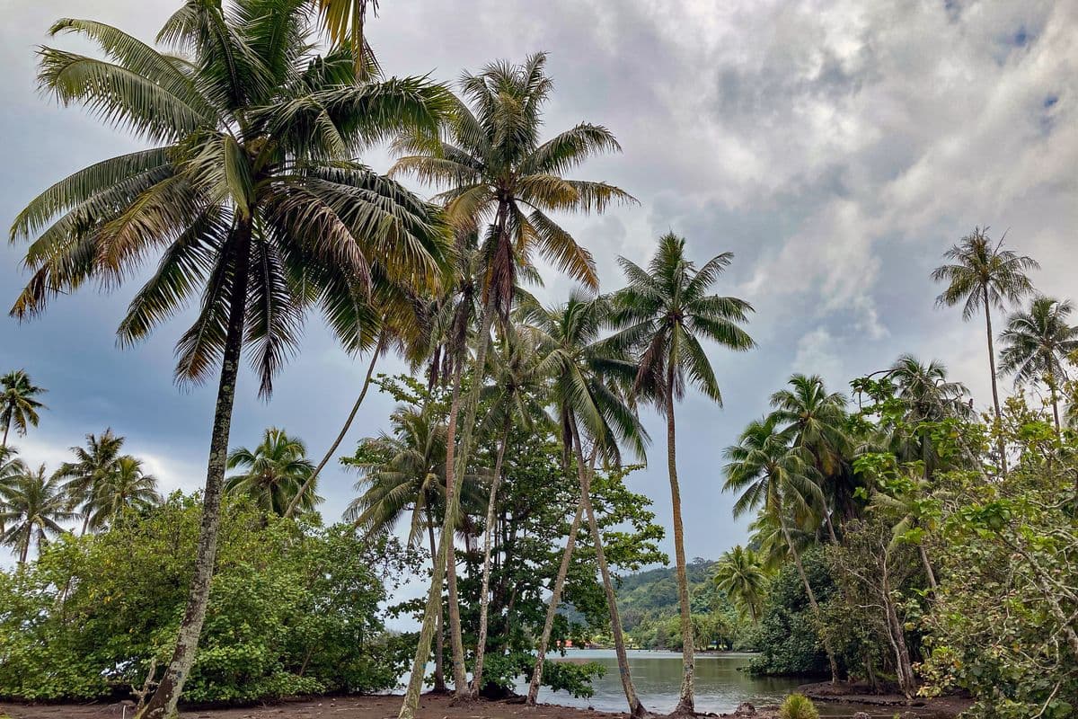 A côté du jardin botanique Harrison Smith