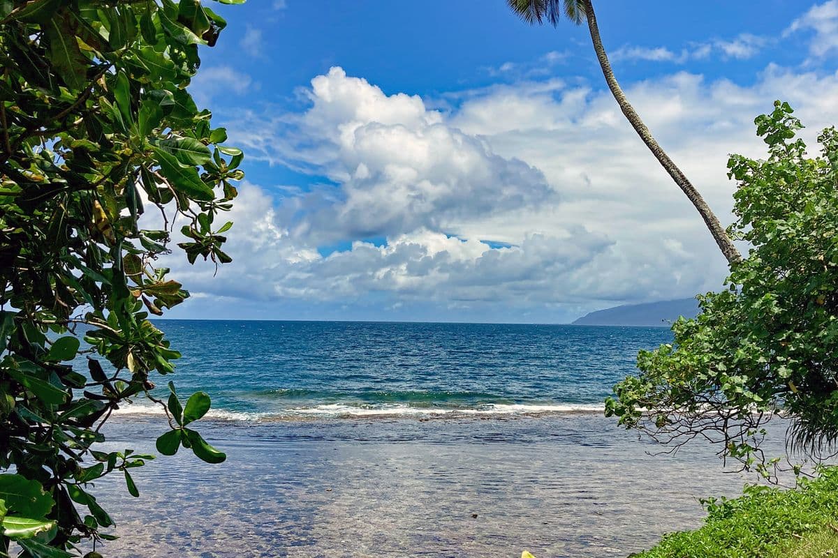 Belle vue du lagon-2