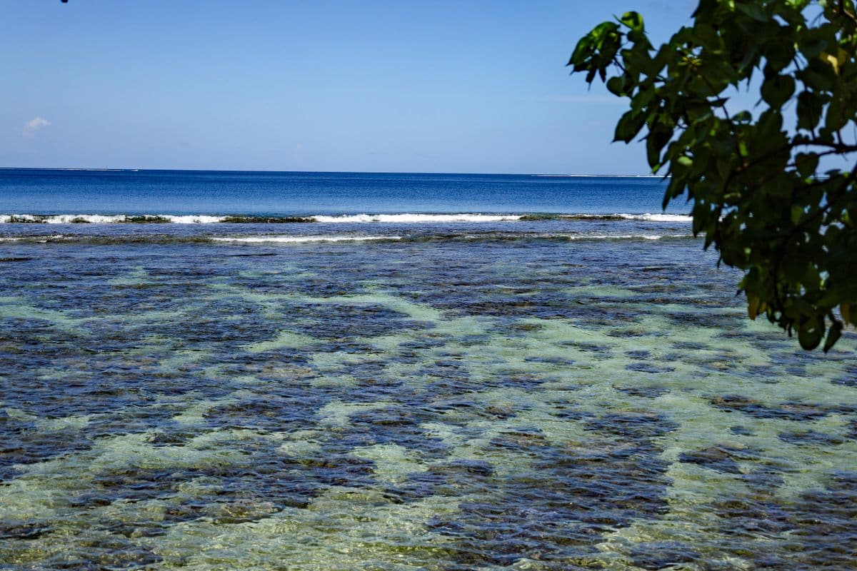 Côté Presqu'ile de Tahiti-2