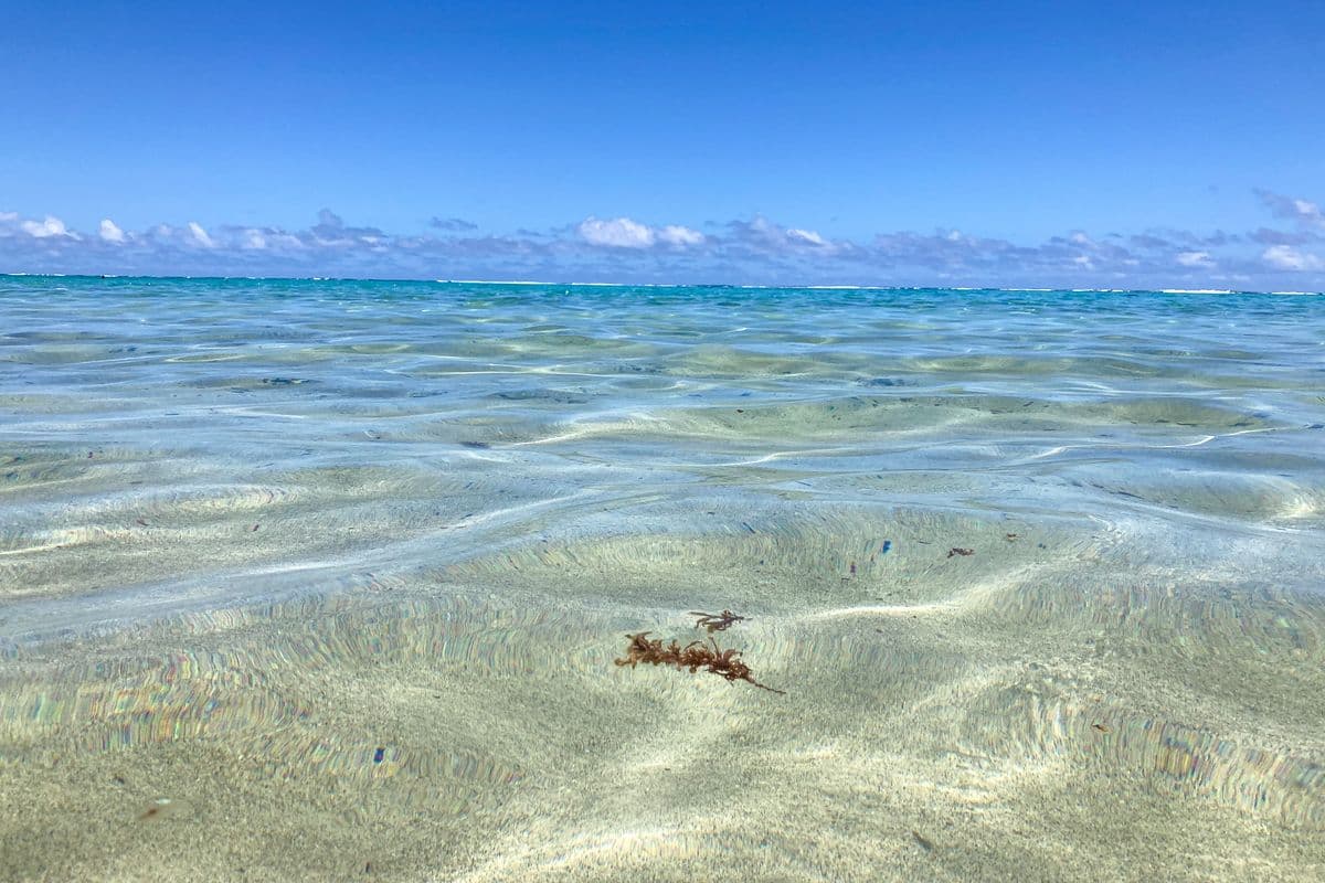 Eau cristalline du lagon