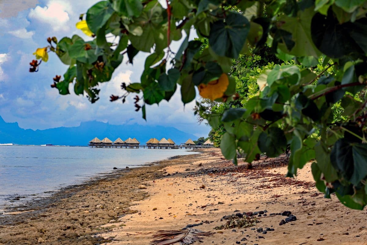 Hotel Ia Ora Beach Resort Tahiti - Punaauia-1