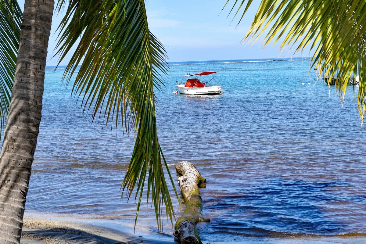 Paysage Côte Ouest-2