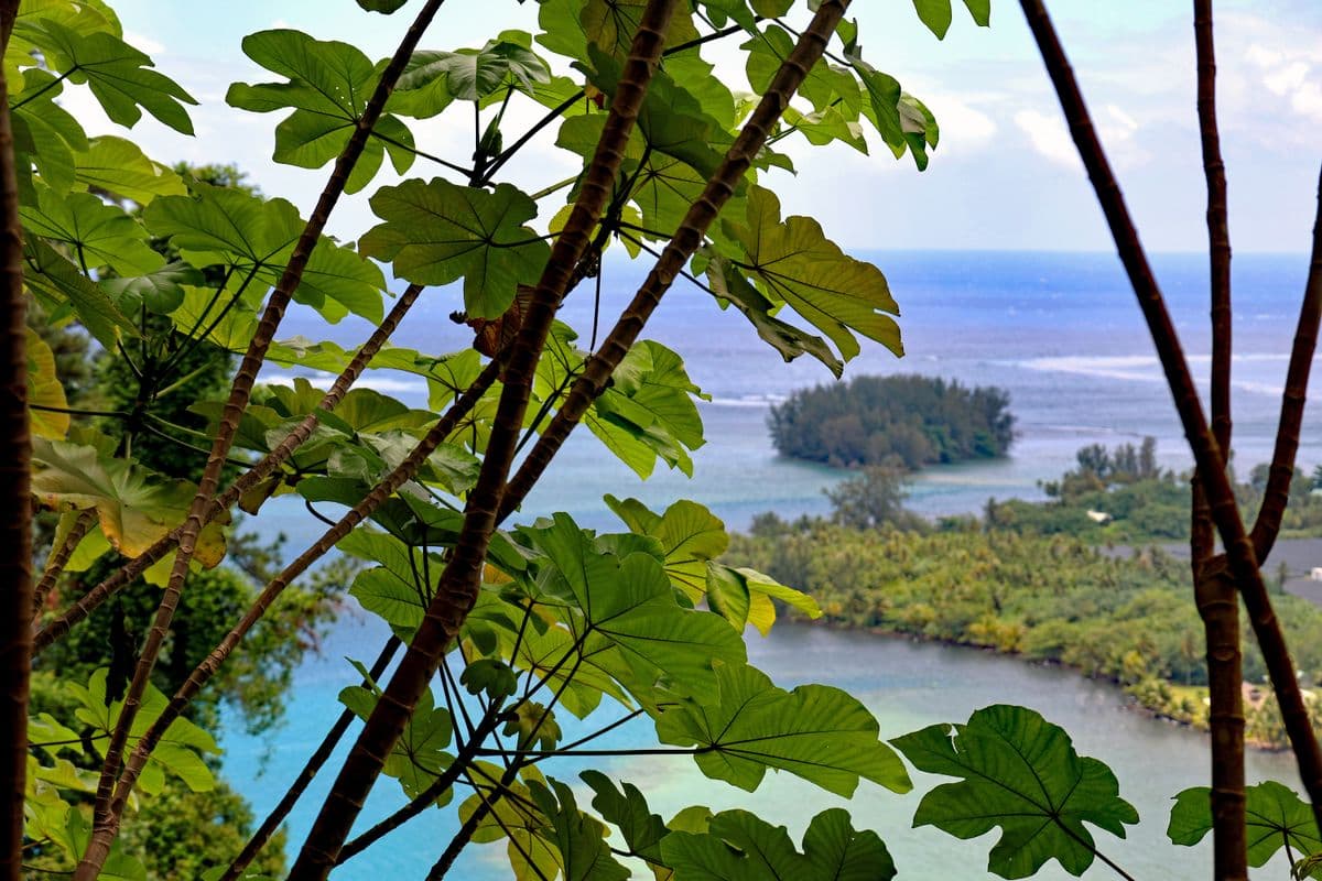 Paysage sur les hauteurs des Jardins d'eau PK49-1