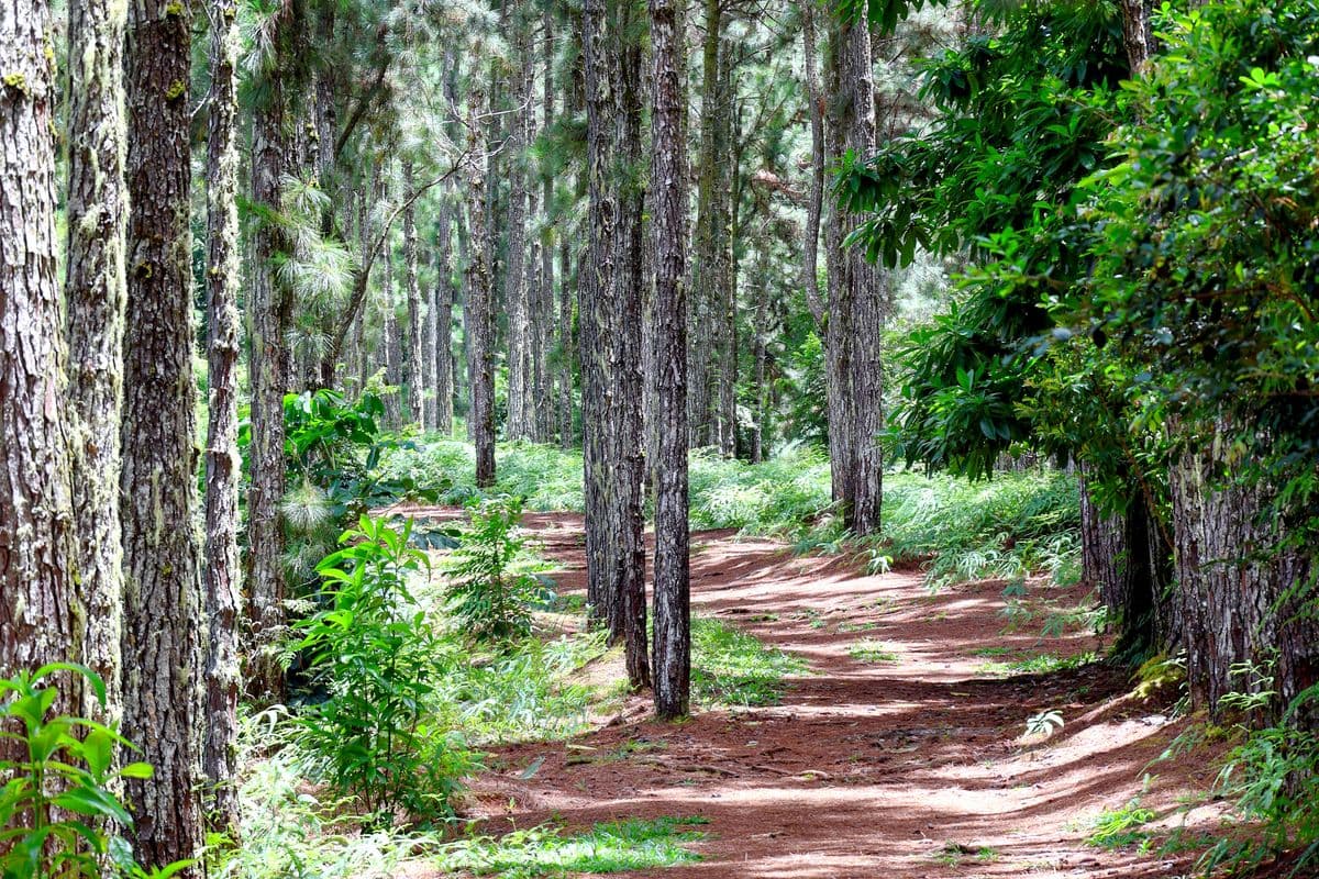 Petit sentier bien sympatique et sportif des Jardins d'eau PK49-1