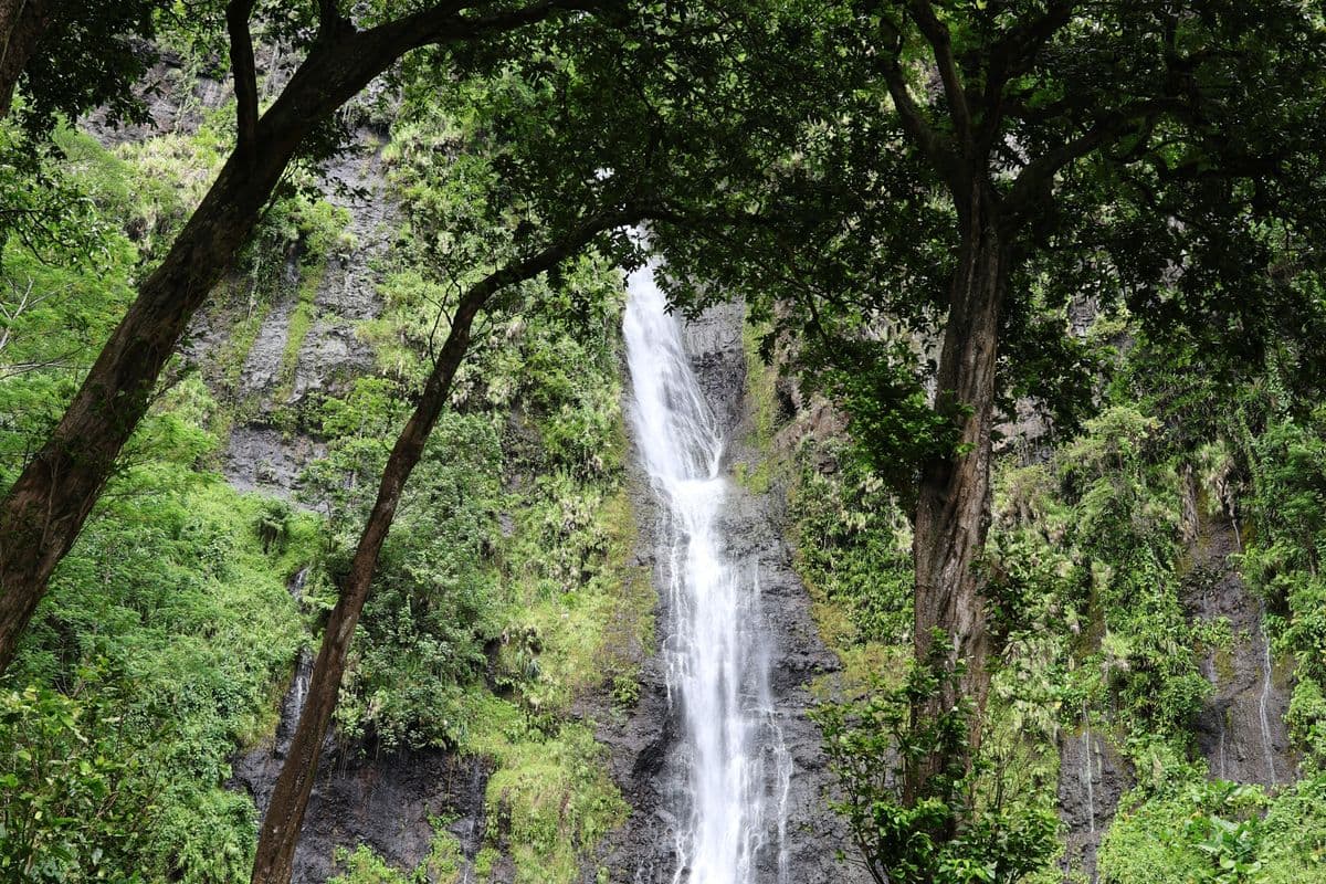 Sur le site touristique des 3 Cascades - Côte Est à Tahiti-1