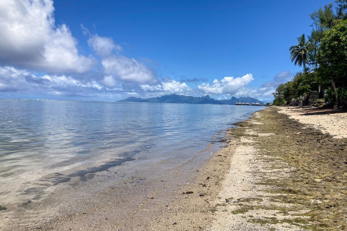 Vue Moorea et Bungalows